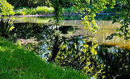 Waldpark Wiesenburg, Foto: Stephanie Nückel