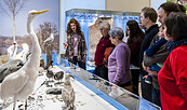 Museumsgäste vor heimischen Vogelarten , Foto: D. Marschalsky, Lizenz: NKMP