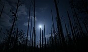 Mond am Abendhimmel, Foto: Thomas Becker