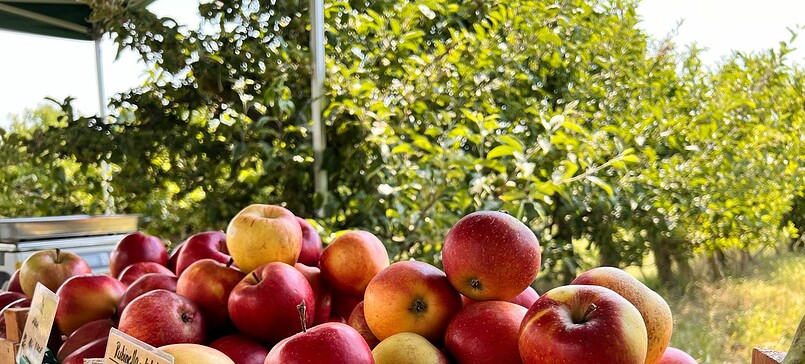 Selbstpflücketage Streuobst-Seiffert