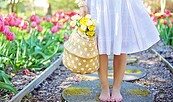 Garten, Foto: Jill Wellington via Pixabay, Lizenz: Messe und Veranstaltungs GmbH