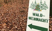 Waldweihnacht Prenzlau, Foto: Anet Hoppe