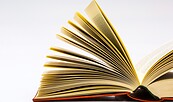 Books, Foto: congerdesign_pixabay