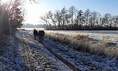 Esel-Winterwanderung, Foto: Jan Prowaznik, Lizenz: Jan Prowaznik