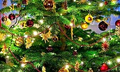 Weihnachtsbaum, Foto: Kleist-Museum