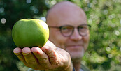 Apfelernte auf der Streuobstwiese, Foto: Catharina Weisser, Lizenz: Tourismusverband Fläming