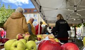Apfelvielfalt auf dem Apfelmarkt, Foto: Oliver Krause