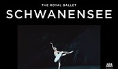 Cinema meets Ballet Live Kino - Schwanensee