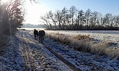 Esel-Winterwanderung, Foto:  Jan Prowaznik, Lizenz:  Jan Prowaznik