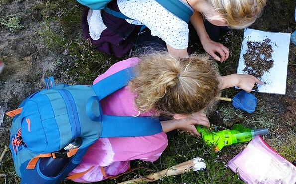 Kinder suchen Ameisenlöwen, Foto: A. Futterer, Lizenz: Naturschutzfonds Brandenburg