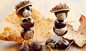 Kastanien, Foto: Canva, Lizenz: Canva