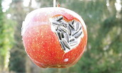 Apfel mit Herz, Foto: Ute Bernhardt, Lizenz: Ute Bernhardt