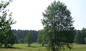 Dubrow, Foto: Tourismusverband Dahme-Seenland e.V., Lizenz: Tourismusverband Dahme-Seenland e.V.