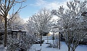 Winterstimmung auf dem Thierbachshof, Foto: Anne-Kathrin Kuhlemann