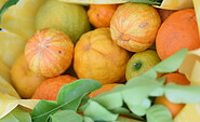 Citrusfrüchte aus dem Klostergarten, Foto: Mainz, Lizenz: Stiftung Stift Neuzelle