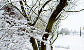 Winter, Foto: Tourismusverband Fläming e.V., Lizenz: Tourismusverband Fläming e.V.