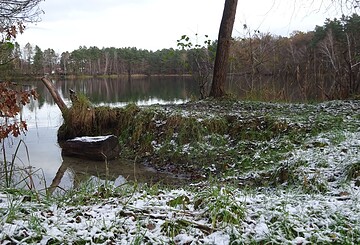 Natur und Genuss – Ho, Ho, Ho, vorweihnachtliche Adventwanderung