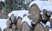 winter, Foto: Catharina Weisser, Lizenz: Tourismusverband Fläming e.V.