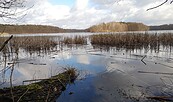 Liepnitzsee mit Insel Gr0ßer Werder, Foto: Andrea Heins, Lizenz: Andrea Heins