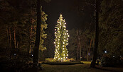 Weihnachtsbaum in Wilhelmshorst, Foto: Catharina Weisser, Lizenz: Tourismusverband Fläming e.V.