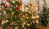 Weihnachten im Schloss, Weihnachtsbaumausstellung , Foto: Museum OSL/ Linke, Lizenz: Museum OSL