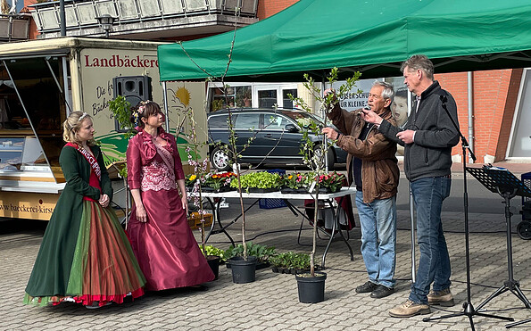 Frühling Frischemarkt, Foto: Obst-und Gartenbauverein Werder (Havel), Lizenz: Obst-und Gartenbauverein Werder (Havel)