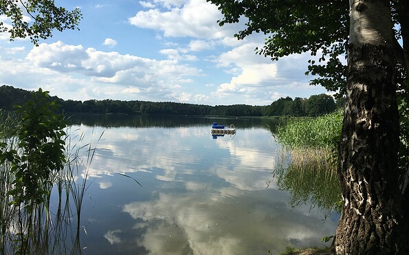 Blick auf den Tornower See, Foto: Juliane Frank, Lizenz: Tourismusverband Dahme-Seenland e.V.