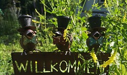 Salonabend - Gärtnern in Biesenthal mit Samentauschbörse