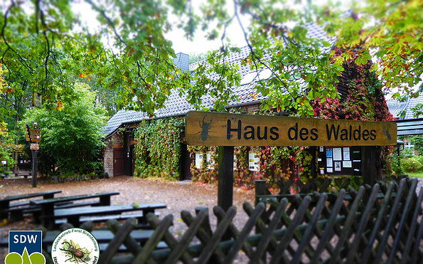 Haus des Waldes, Foto: Janne Alice Kudak, Lizenz: Landesbetrieb Forst Brandenburg - Haus des Waldes Gräbendorf