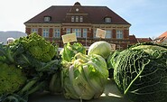 Gemüse beim Calauer Wochenmarkt., Foto: Jan Hornhauer, Lizenz: Stadt Calau
