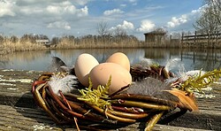 Ostern in Sielmanns Naturlandschaft Wanninchen