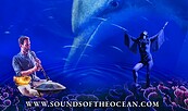 Sounds of the Ocean, Foto: Embodied Sounds, Lizenz: Embodied Sounds