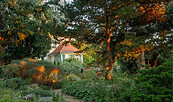 Garten Karl Foerster Haus , Foto: Marianne Majerus, Lizenz: DSD/ IMG 1547026