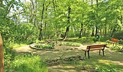 Park Rückersdorf, Foto: Foto: Cordula Schladitz