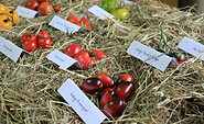 Tomatensorten, Foto: Bansen/ Wittig, Lizenz: Bansen/ Wittig
