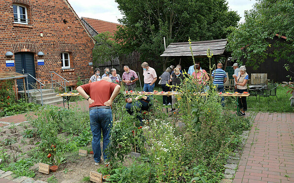 Besucher der Tomatenausstellung, Foto: Bansen/ Wittig, Lizenz: Bansen/ Wittig