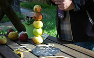 Apfeltürme bauen, Foto: Bansen/ Wittig, Lizenz: Bansen/ Wittig