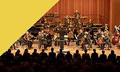 Brandenburger Symphoniker, Foto: Sören Stanchera