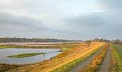 Flusslandschaft Elbe, Foto: Anke Hofmeister