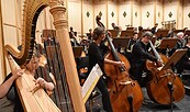 Philharmonisches Orchester (Impression), Foto: Marlies Kross, Theaterfotografin, Lizenz: Brandenburgische Kulturstiftung Cottbus-Frankfurt (Oder)