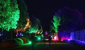 Schlosspark-Nacht, Foto: Andreas Herz, Lizenz: TKO gGmbH