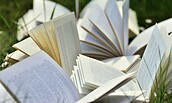 books, Foto: congerdesign_pixabay