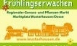 Frühlingserwachen in Wusterhausen/Dosse: Regionaler Genuss- und Pflanzen-Markt