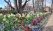 Frühling, Foto: Antje Lang