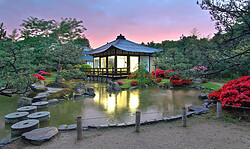 Auszeit: Meditation im Japanischen Bonsaigarten