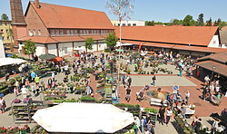 Blumenmarkt Wiesenburg/Mark