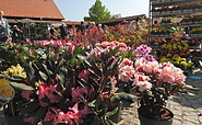 Blumemmarkt, Foto: Anja Reinholz, Lizenz: Gemeinde WiesenburgMark