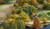 Schloss Glienicke: Bäume und Sträucher im Branitzer Park – Herausforderungen bei der Erhaltung der Pücklerschen Gestaltung