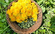 Blumen im Korb, Foto: WaldWeiberWissen, Lizenz: WaldWeiberWissen