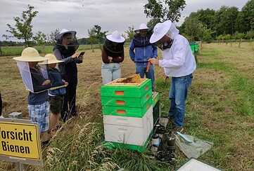 Teltow summt: Bienen-Führung